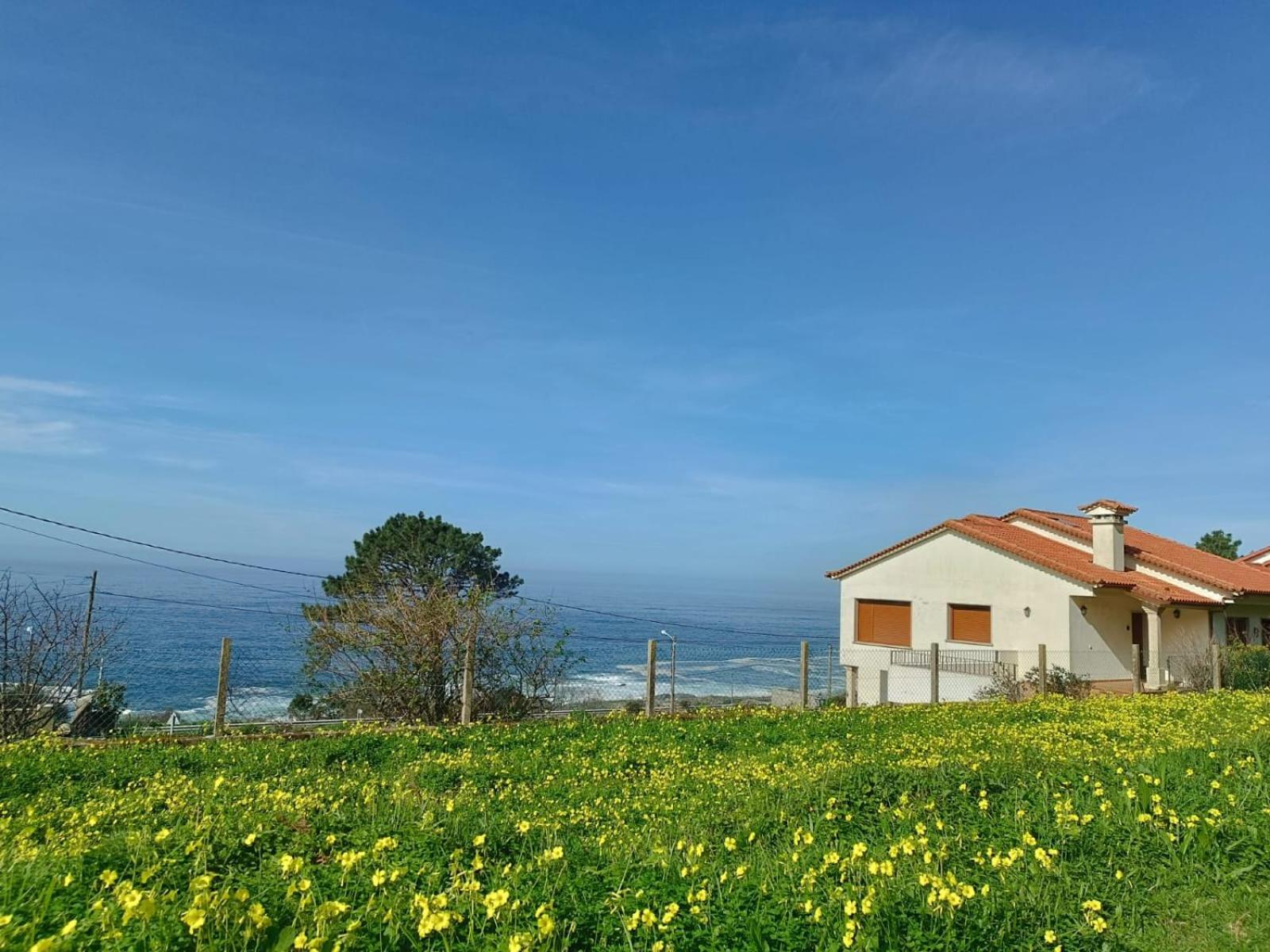Rooms Peregrinos A Casa Alicia Rosal Kültér fotó